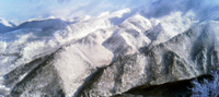 e0023872_19322666.jpg