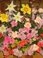 b0039373_1759515.jpg
