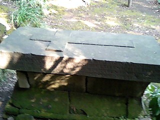 f0066076_8326.jpg
