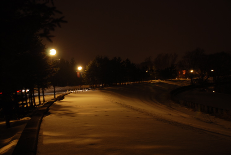f0126483_16295058.jpg