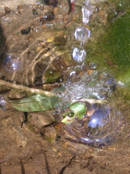 c0084097_4315840.jpg