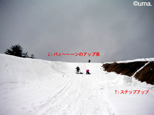 b0061004_16564.jpg