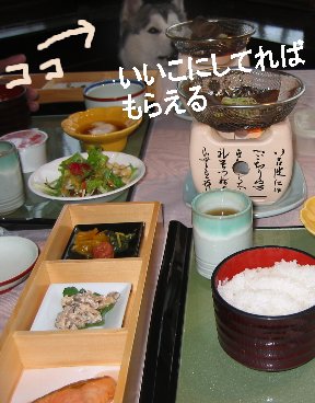 f0112407_13285166.jpg