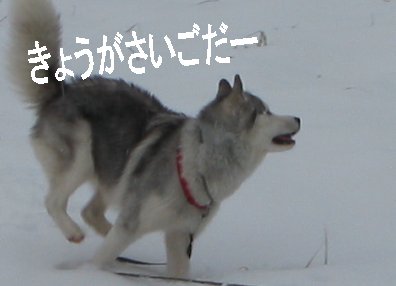 f0112407_1425035.jpg