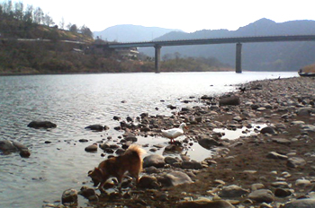 a0041108_22301897.jpg