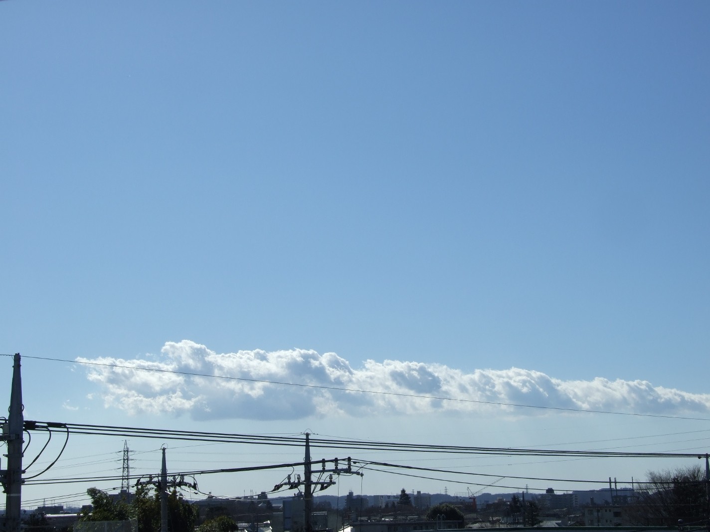 b0061010_111027.jpg