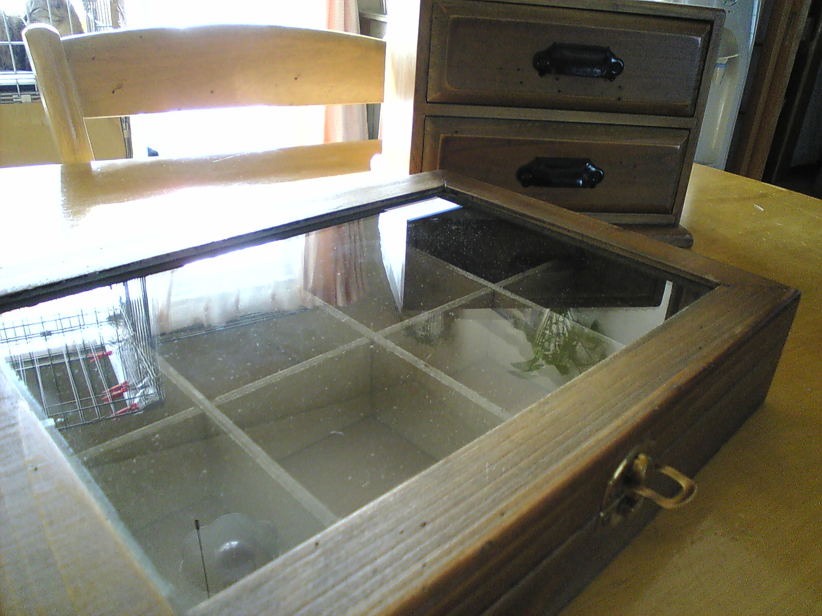 e0113915_14283257.jpg