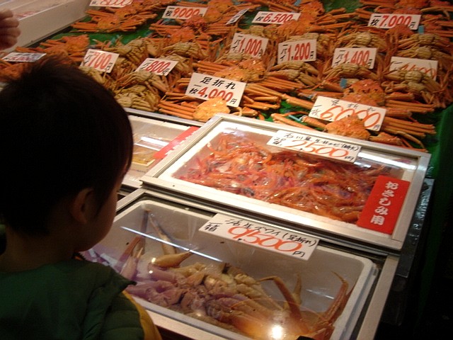 c0003723_21394661.jpg