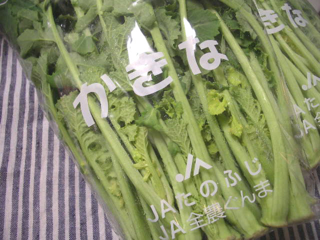 d0085228_2185810.jpg