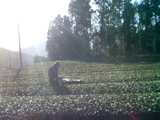 d0014229_22585020.jpg