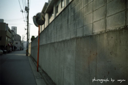 d0036630_20334641.jpg