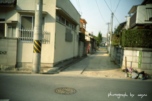 d0036630_20362862.jpg