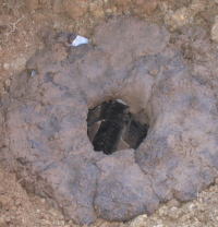 e0049740_2071397.jpg