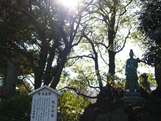 c0050051_22322666.jpg
