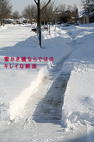 f0006855_13401755.jpg