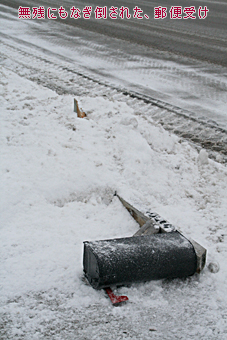 f0006855_13415397.jpg