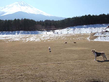 c0097558_2319460.jpg