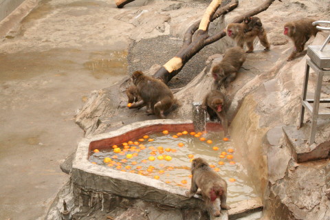 e0086860_22261640.jpg