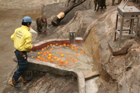 e0086860_2226391.jpg