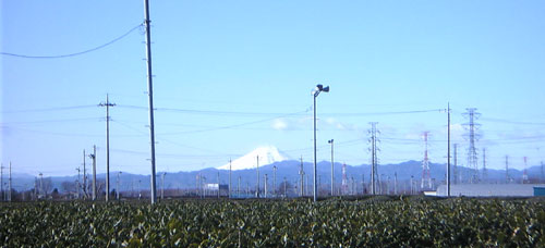 b0101263_1031856.jpg