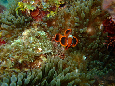 d0102664_2241251.jpg