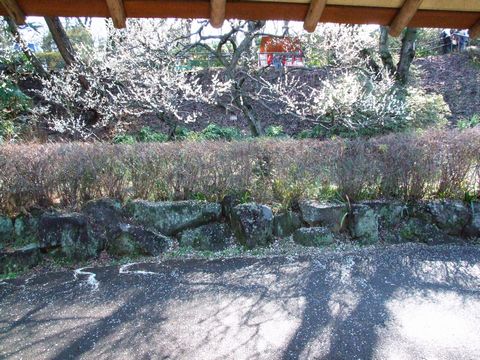 a0009666_1259828.jpg