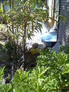 f0092767_11443256.jpg