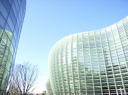 b0062185_22374850.jpg