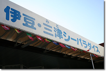 e0010185_0211032.jpg