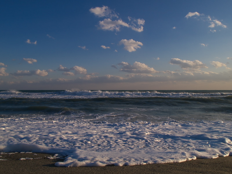 f0121786_2336414.jpg