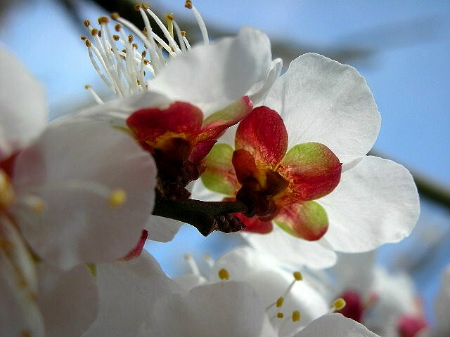 f0083400_20105858.jpg