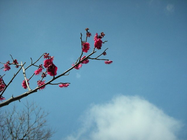 f0083400_20123981.jpg