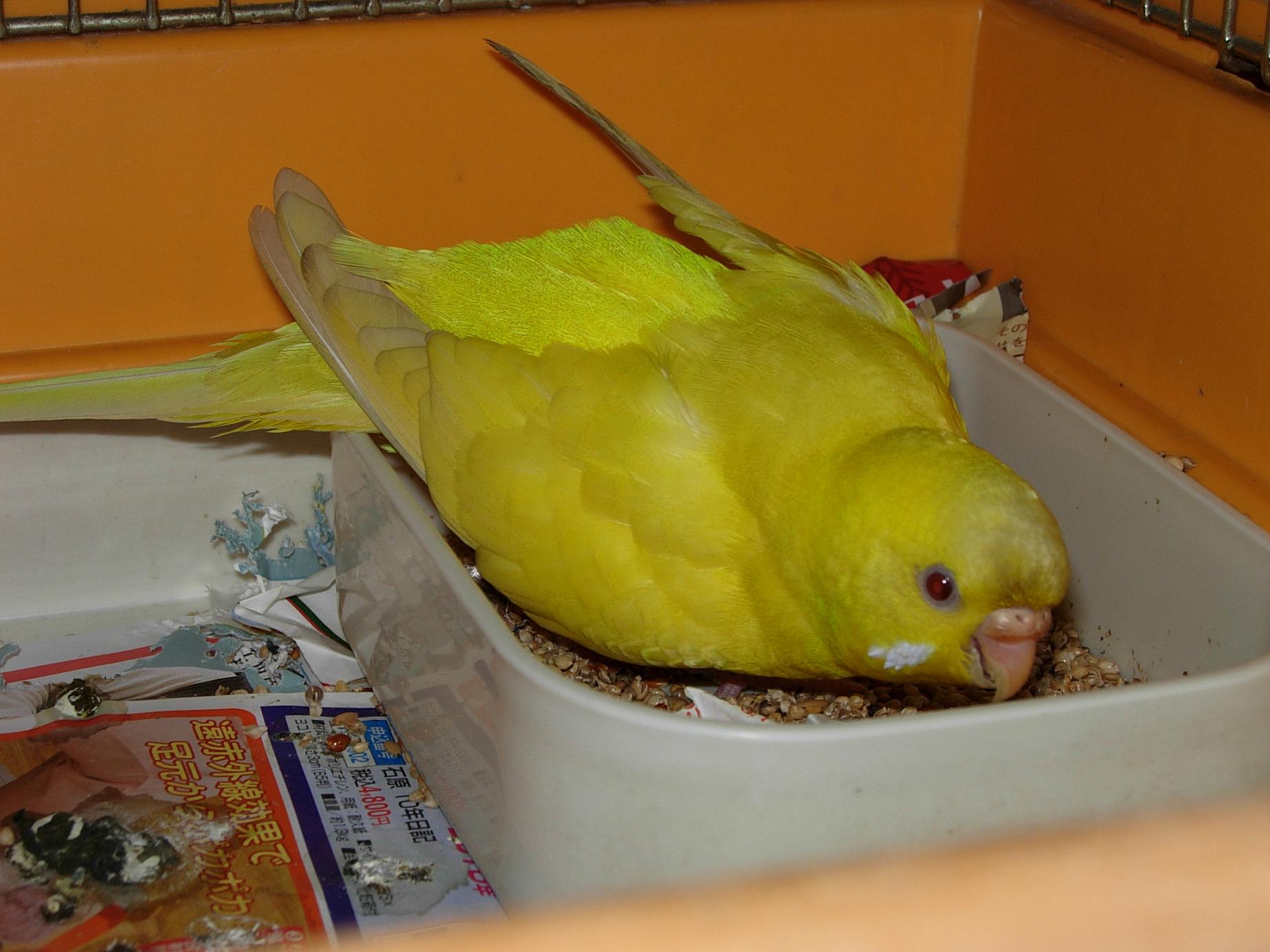 a0044103_8214334.jpg