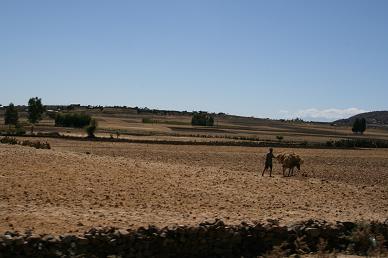 e0017708_9273228.jpg