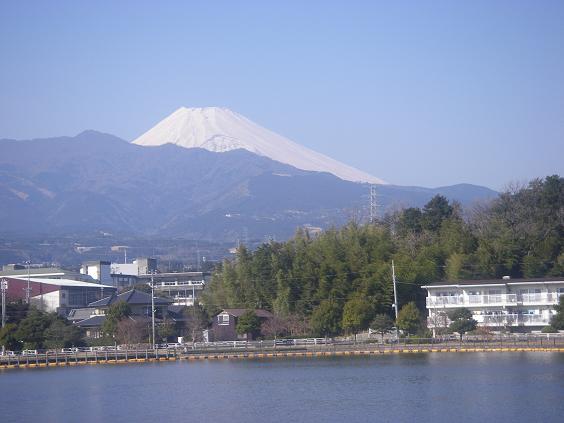 c0097309_15391146.jpg
