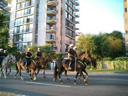 c0057810_065655.jpg