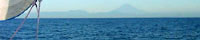 c0041039_10553614.jpg