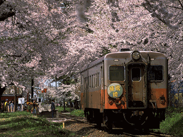 e0013640_1930072.gif