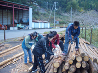 f0123142_1734522.jpg