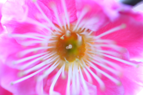 a0024250_2224236.jpg