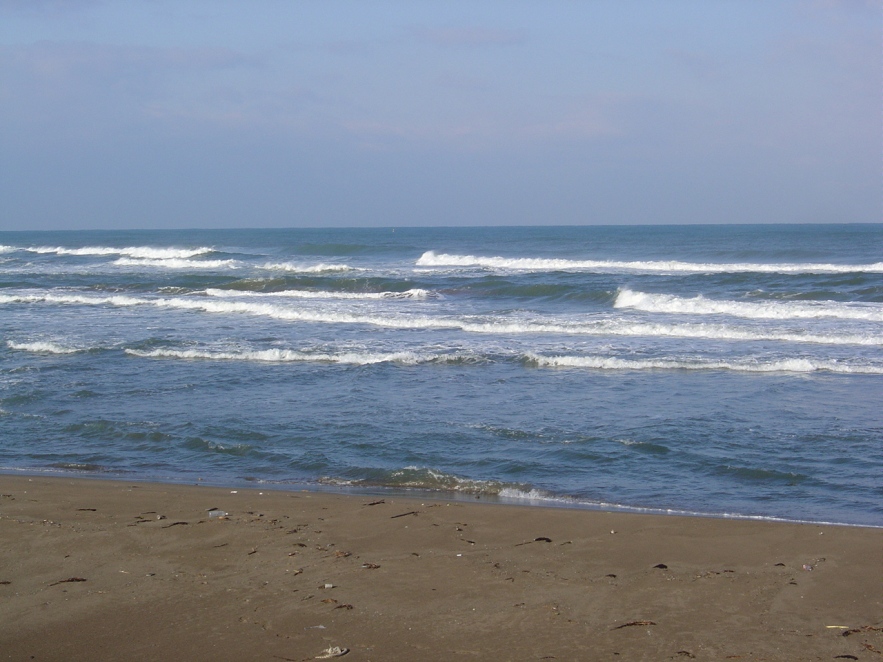 b0066153_0103915.jpg