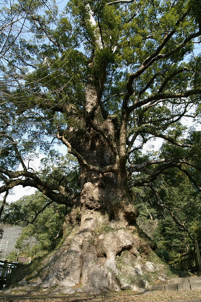 f0088058_18422525.jpg