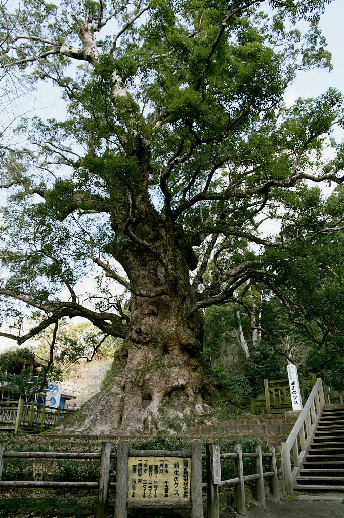 f0088058_18485033.jpg