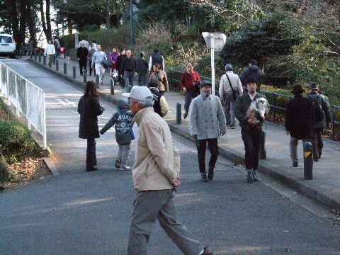 a0009666_7262389.jpg