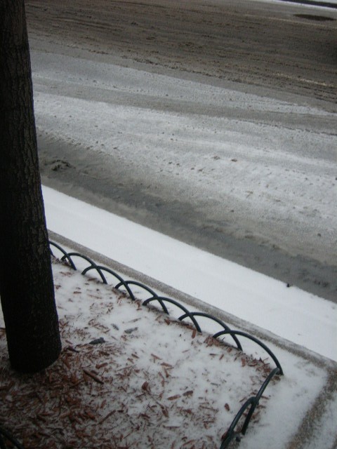 f0101868_1149595.jpg