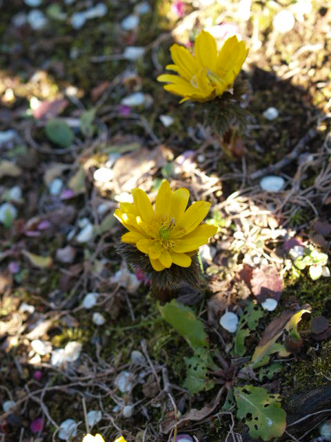 e0078071_2094187.jpg