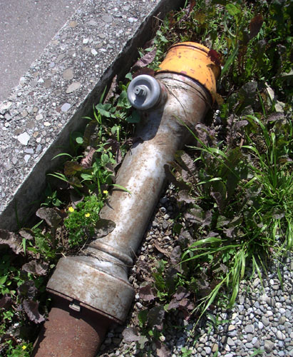 b0038588_19304612.jpg