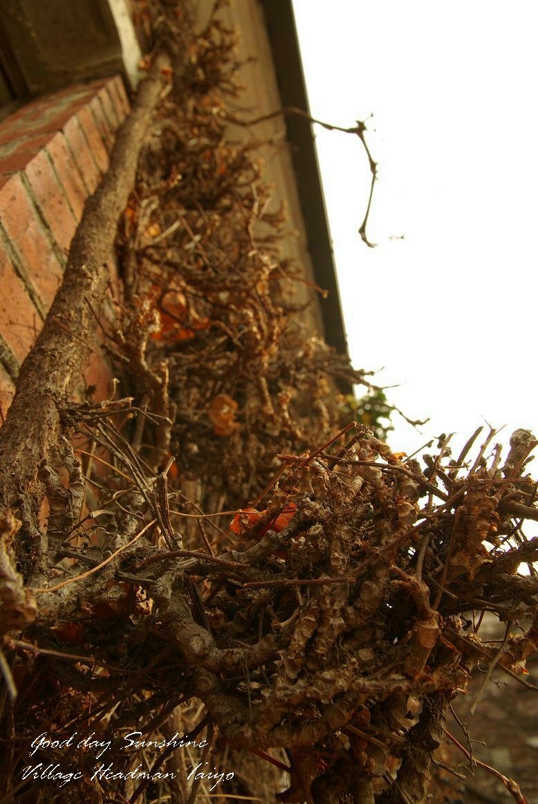 e0108390_0112161.jpg