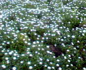 b0007895_1940022.jpg