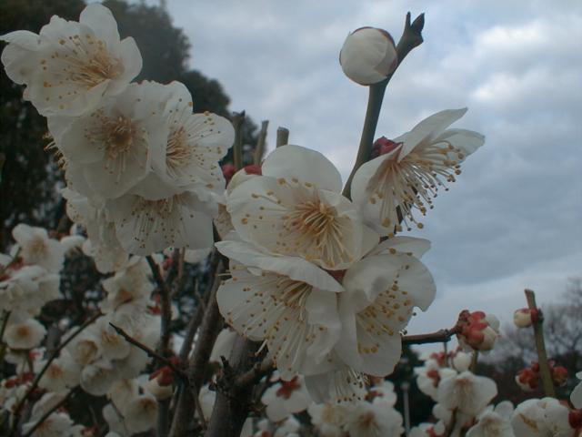 d0071507_9122382.jpg
